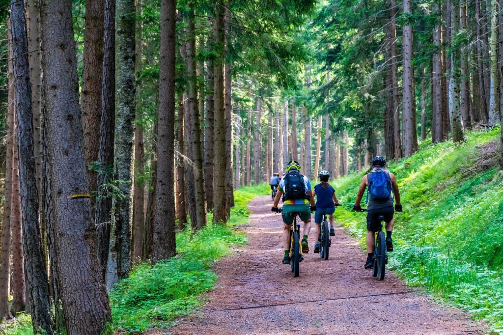 Užijte si Krkonošský národní park – s respektem